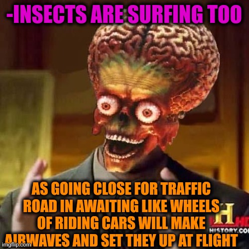 -Walking to beach. | -INSECTS ARE SURFING TOO; AS GOING CLOSE FOR TRAFFIC ROAD IN AWAITING LIKE WHEELS OF RIDING CARS WILL MAKE AIRWAVES AND SET THEY UP AT FLIGHT | image tagged in aliens 6,insects,surfing,traffic jam,hot wheels,microwave | made w/ Imgflip meme maker