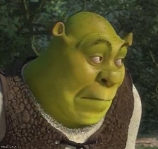 Suspicious Shrek face | image tagged in suspicious shrek face | made w/ Imgflip meme maker