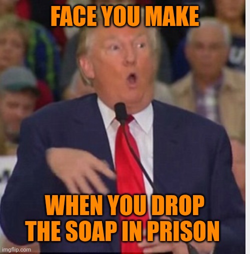 Trump 20 to 24 | FACE YOU MAKE; WHEN YOU DROP THE SOAP IN PRISON | image tagged in donald trump tho | made w/ Imgflip meme maker