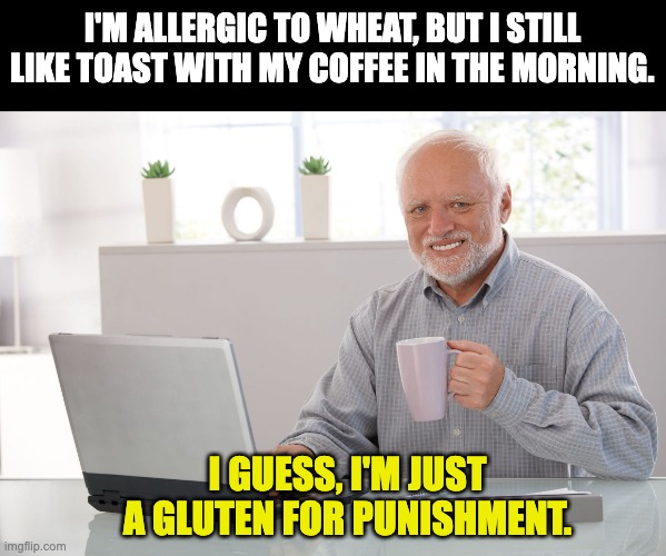 Allergies | I'M ALLERGIC TO WHEAT, BUT I STILL LIKE TOAST WITH MY COFFEE IN THE MORNING. I GUESS, I'M JUST A GLUTEN FOR PUNISHMENT. | image tagged in hide the pain harold large | made w/ Imgflip meme maker