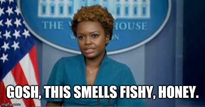 Deputy Secretary Karine Jean-Pierre | GOSH, THIS SMELLS FISHY, HONEY. | image tagged in deputy secretary karine jean-pierre | made w/ Imgflip meme maker