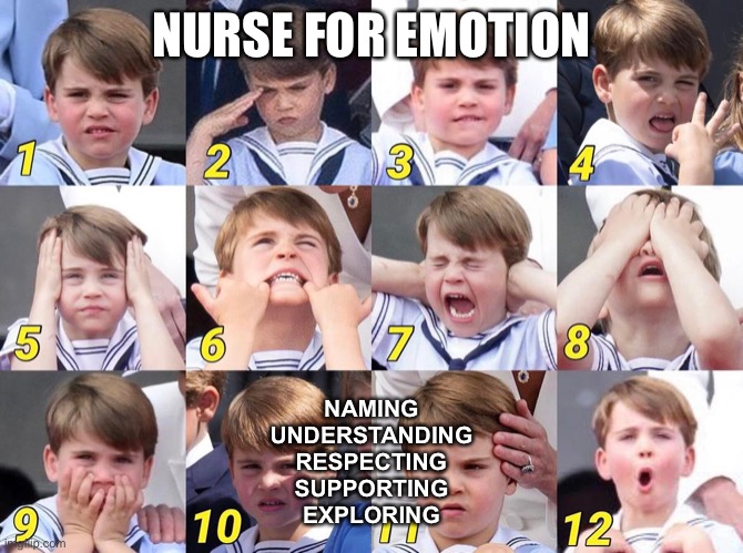 prince louis | NURSE FOR EMOTION; NAMING
UNDERSTANDING
RESPECTING
SUPPORTING
EXPLORING | image tagged in prince louis | made w/ Imgflip meme maker
