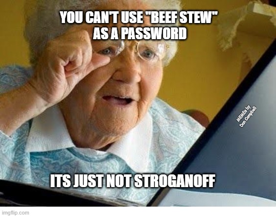 old lady at computer |  YOU CAN'T USE "BEEF STEW" 
AS A PASSWORD; MEMEs by Dan Campbell; ITS JUST NOT STROGANOFF | image tagged in old lady at computer | made w/ Imgflip meme maker
