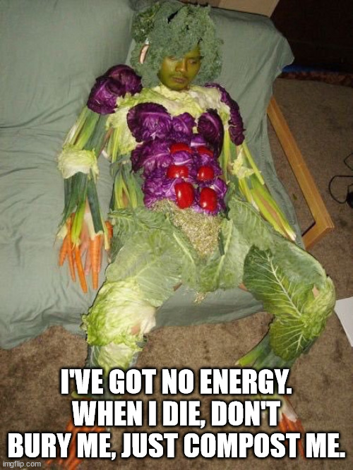 vegetable man | I'VE GOT NO ENERGY.
WHEN I DIE, DON'T BURY ME, JUST COMPOST ME. | image tagged in vegetable man | made w/ Imgflip meme maker