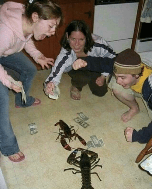 High Quality Lobster Fight Blank Meme Template