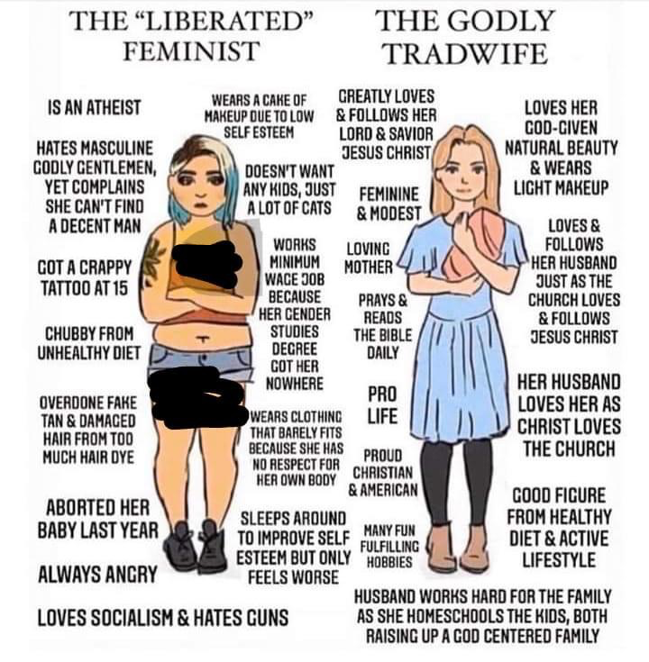 High Quality The liberated feminist vs. the Godly tradwife Blank Meme Template