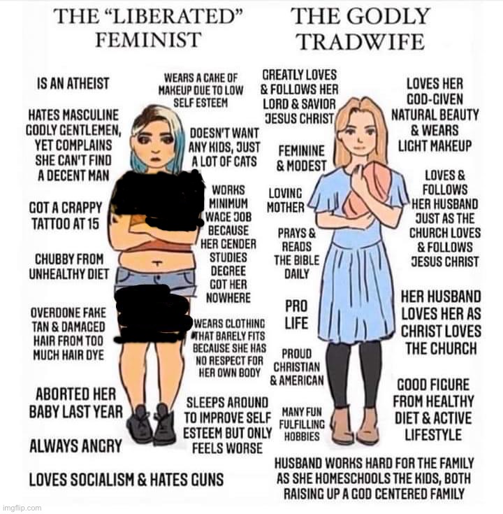 The liberated feminist vs. the Godly tradwife redacted Blank Meme Template