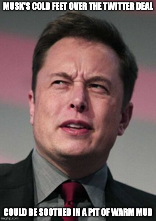 Elon Musk Twitter Deal | MUSK'S COLD FEET OVER THE TWITTER DEAL; COULD BE SOOTHED IN A PIT OF WARM MUD | image tagged in twitter,elon musk,memes | made w/ Imgflip meme maker