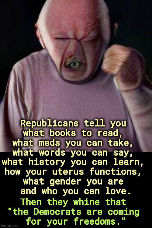 Republicans tell you 
what books to read, 
what meds you can take, 
what words you can say, 
what history you can learn, 
how your uterus functions, 
what gender you are 
and who you can love. Then they whine that 
"the Democrats are coming 
for your freedoms." | image tagged in republicans,fascists,bullies,police state | made w/ Imgflip meme maker