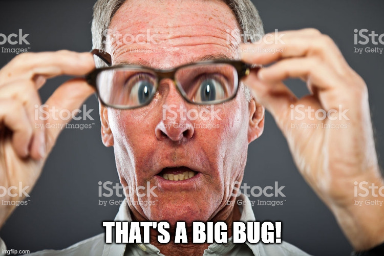 Closer Look | THAT'S A BIG BUG! | image tagged in closer look | made w/ Imgflip meme maker