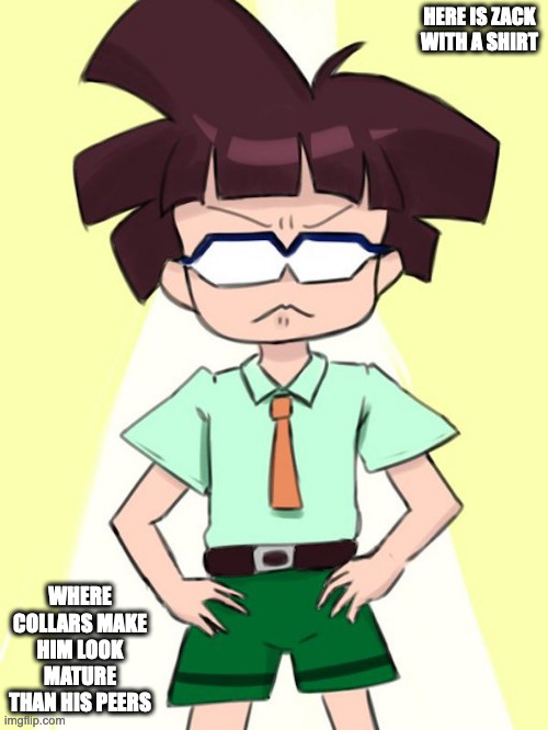 Summer Zack | HERE IS ZACK WITH A SHIRT; WHERE COLLARS MAKE HIM LOOK MATURE THAN HIS PEERS | image tagged in zack temple,megaman,megaman star force,memes | made w/ Imgflip meme maker