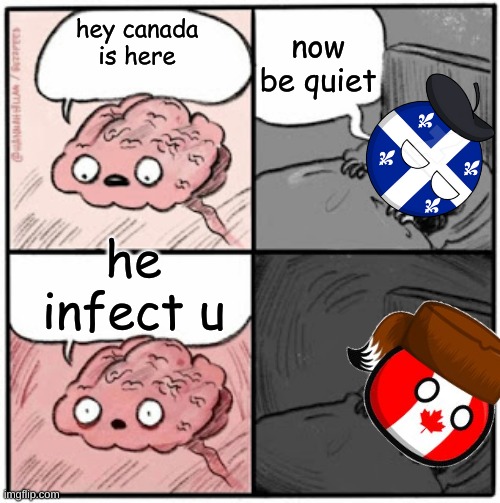 Brain Before Sleep | now be quiet; hey canada is here; he infect u | image tagged in brain before sleep | made w/ Imgflip meme maker