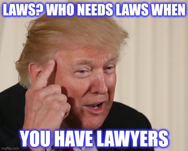 Trump Thinking | LAWS? WHO NEEDS LAWS WHEN YOU HAVE LAWYERS | image tagged in trump thinking | made w/ Imgflip meme maker