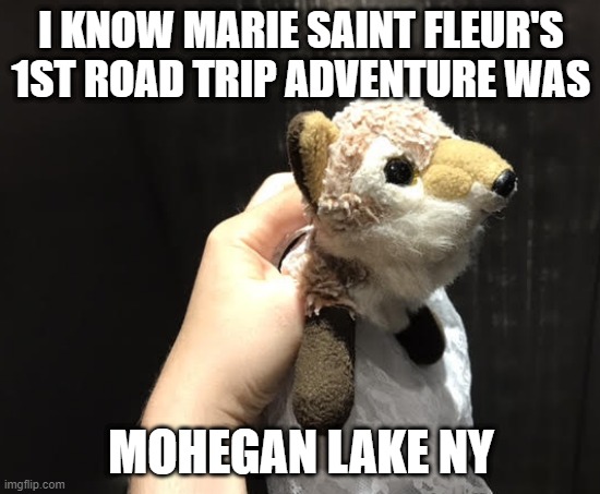 Marie's 1st road trip adventure last weekend | I KNOW MARIE SAINT FLEUR'S 1ST ROAD TRIP ADVENTURE WAS; MOHEGAN LAKE NY | image tagged in road trip,adventure | made w/ Imgflip meme maker