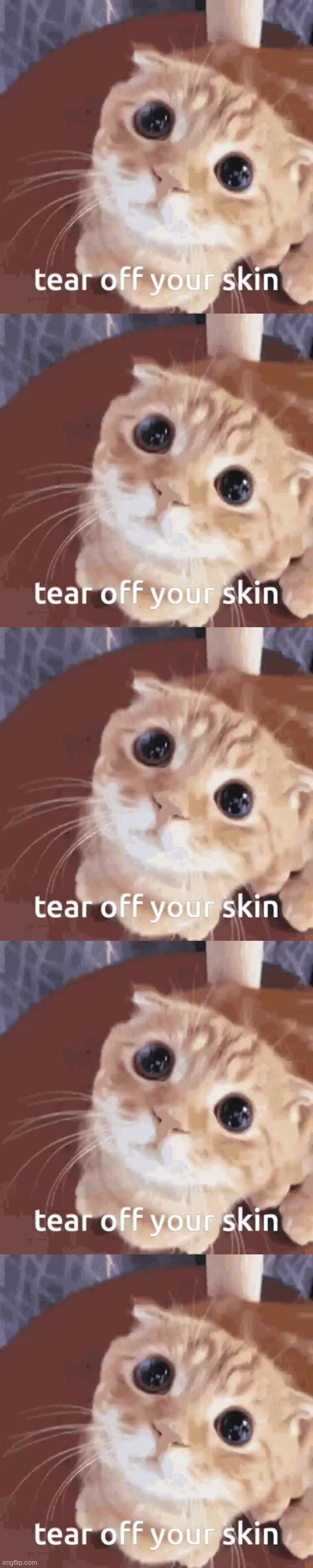 image tagged in tear off your skin | made w/ Imgflip meme maker