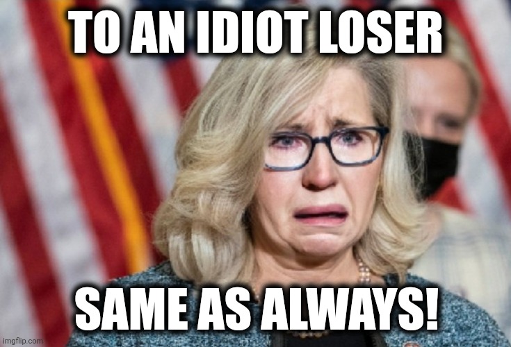 Liz Cheney | SAME AS ALWAYS! TO AN IDIOT LOSER | image tagged in liz cheney | made w/ Imgflip meme maker