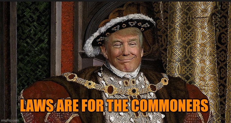 Trump King | LAWS ARE FOR THE COMMONERS | image tagged in trump king | made w/ Imgflip meme maker