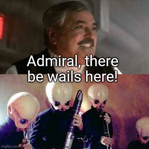 Wails Here | Admiral, there be wails here! | image tagged in memes,star trek | made w/ Imgflip meme maker