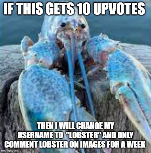 IF THIS GETS 10 UPVOTES; THEN I WILL CHANGE MY USERNAME TO  "LOBSTER" AND ONLY COMMENT LOBSTER ON IMAGES FOR A WEEK | made w/ Imgflip meme maker