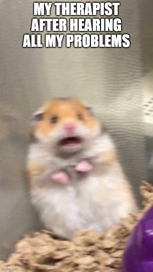 Surprised hamster | MY THERAPIST AFTER HEARING ALL MY PROBLEMS | image tagged in surprised hamster | made w/ Imgflip meme maker
