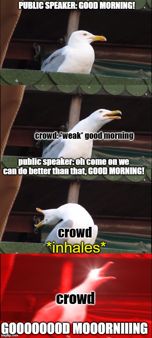 Inhaling Seagull Meme | PUBLIC SPEAKER: GOOD MORNING! crowd: *weak* good morning; public speaker: oh come on we can do better than that, GOOD MORNING! crowd; *inhales*; crowd; GOOOOOOOD MOOORNIIING | image tagged in memes,inhaling seagull | made w/ Imgflip meme maker
