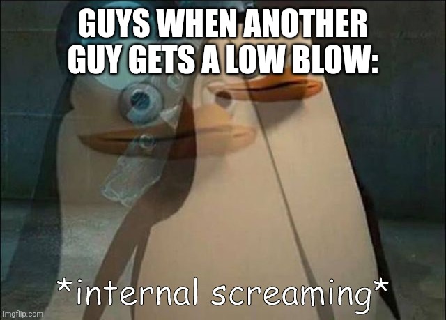 Private Internal Screaming | GUYS WHEN ANOTHER GUY GETS A LOW BLOW: | image tagged in private internal screaming | made w/ Imgflip meme maker