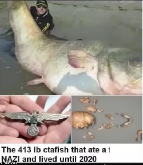based catfish | made w/ Imgflip meme maker