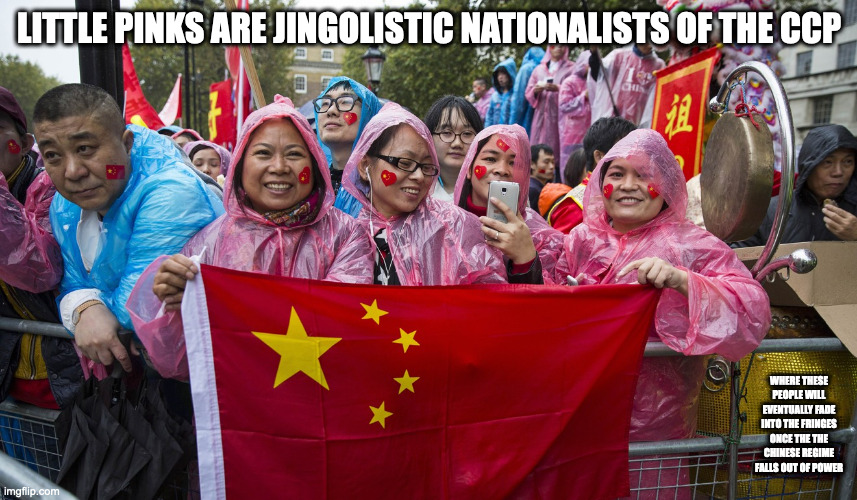 Little Pinks | LITTLE PINKS ARE JINGOLISTIC NATIONALISTS OF THE CCP; WHERE THESE PEOPLE WILL EVENTUALLY FADE INTO THE FRINGES ONCE THE THE CHINESE REGIME FALLS OUT OF POWER | image tagged in china,memes,politics | made w/ Imgflip meme maker