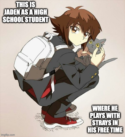 Teen Jaden | THIS IS JADEN AS A HIGH SCHOOL STUDENT; WHERE HE PLAYS WITH STRAYS IN HIS FREE TIME | image tagged in yugioh,jaden,memes | made w/ Imgflip meme maker