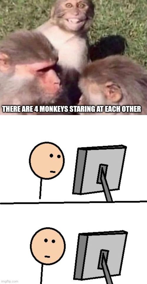 THERE ARE 4 MONKEYS STARING AT EACH OTHER | image tagged in what did i just see | made w/ Imgflip meme maker