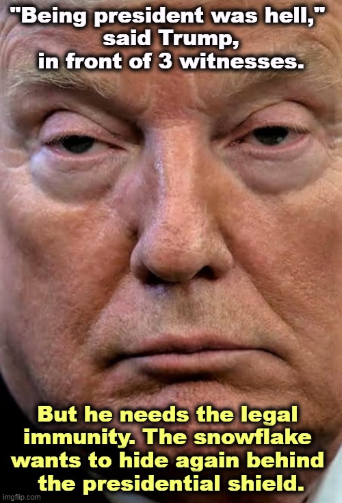 Lawsuits, lawsuits. | "Being president was hell," 
said Trump, in front of 3 witnesses. But he needs the legal 
immunity. The snowflake 
wants to hide again behind 
the presidential shield. | image tagged in trump woozy dilated,trump,afraid,lawsuit,president,immunity | made w/ Imgflip meme maker