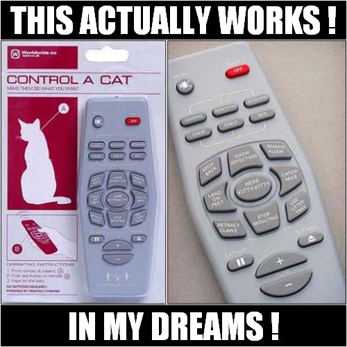 Cat Remote Control ! | THIS ACTUALLY WORKS ! IN MY DREAMS ! | image tagged in cats,remote control,fail | made w/ Imgflip meme maker