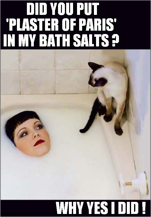 Can't Get Out Of The Tub ? | DID YOU PUT 'PLASTER OF PARIS' IN MY BATH SALTS ? WHY YES I DID ! | image tagged in cats,no regrets,bathtub,plaster of paris | made w/ Imgflip meme maker