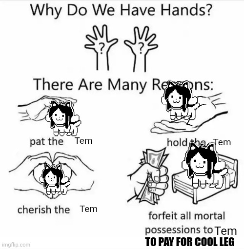 I'm glad to pay for temmies cooleg | Tem; Tem; Tem; Tem; TO PAY FOR COOL LEG | image tagged in why do we have hands all blank | made w/ Imgflip meme maker