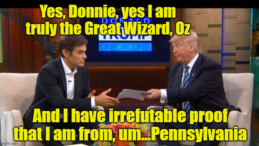 Wizard of Pennsylvania | Yes, Donnie, yes I am truly the Great Wizard, Oz; And I have irrefutable proof that I am from, um...Pennsylvania | image tagged in wizard of oz,trump,donald trump approves,donald trump is an idiot,midterms,maga | made w/ Imgflip meme maker