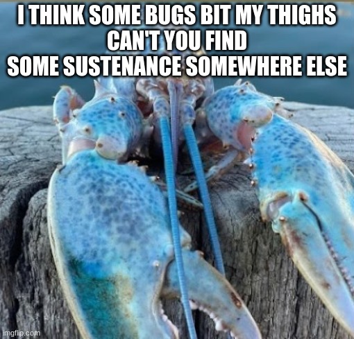 lobber my beloved | I THINK SOME BUGS BIT MY THIGHS
CAN'T YOU FIND SOME SUSTENANCE SOMEWHERE ELSE | image tagged in lobber my beloved | made w/ Imgflip meme maker