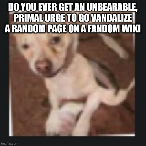 also hi ig | DO YOU EVER GET AN UNBEARABLE, PRIMAL URGE TO GO VANDALIZE A RANDOM PAGE ON A FANDOM WIKI | image tagged in wank dog | made w/ Imgflip meme maker