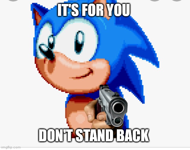 Sonic but with a gun | IT'S FOR YOU; DON'T STAND BACK | image tagged in funny memes | made w/ Imgflip meme maker