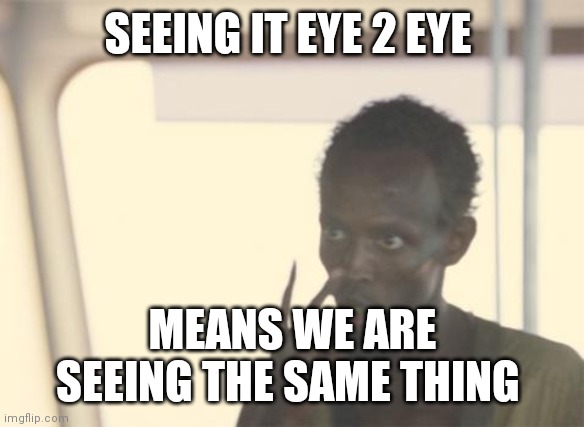 Seeing it eye 2 eye | SEEING IT EYE 2 EYE; MEANS WE ARE SEEING THE SAME THING | image tagged in memes,i'm the captain now | made w/ Imgflip meme maker