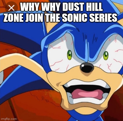 Crazy Sonic | WHY WHY DUST HILL ZONE JOIN THE SONIC SERIES | image tagged in funny memes | made w/ Imgflip meme maker