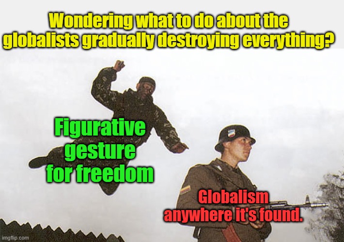 They have publically set their deadline at 2030. If you take a wait and see posture, you will own nothing by then | Wondering what to do about the globalists gradually destroying everything? Figurative gesture for freedom; Globalism anywhere it's found. | image tagged in soldier jump spetznaz | made w/ Imgflip meme maker