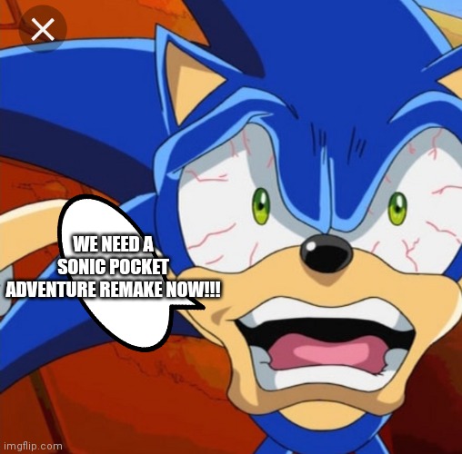 Crazy Sonic | WE NEED A SONIC POCKET ADVENTURE REMAKE NOW!!! | image tagged in funny memes | made w/ Imgflip meme maker