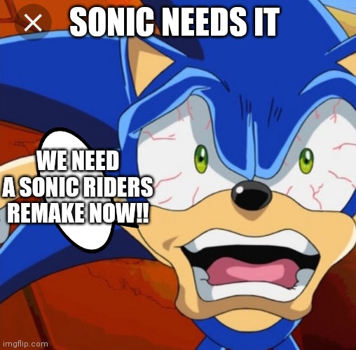 Crazy Sonic | SONIC NEEDS IT; WE NEED A SONIC RIDERS REMAKE NOW!! | image tagged in funny memes | made w/ Imgflip meme maker