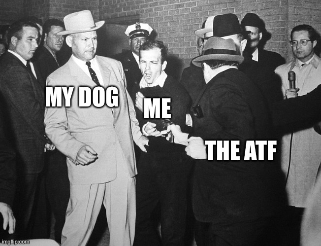 Hot damn | ME; MY DOG; THE ATF | image tagged in oswald getting got | made w/ Imgflip meme maker