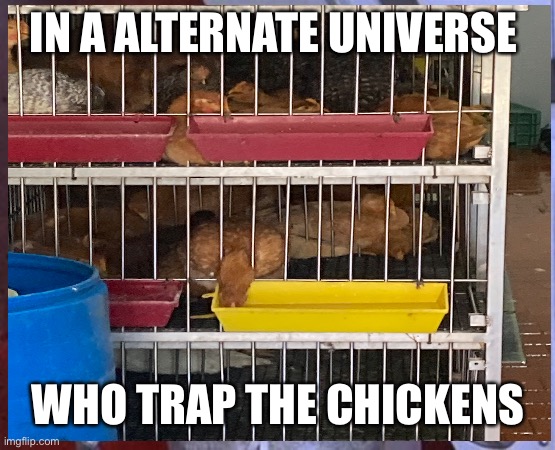 IN A ALTERNATE UNIVERSE; WHO TRAP THE CHICKENS | made w/ Imgflip meme maker