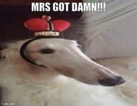 MRS GOT DAMN!!! | image tagged in mrs got damn | made w/ Imgflip meme maker