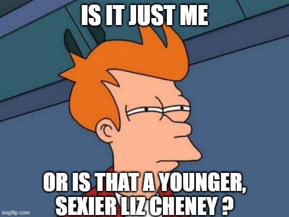 Futurama Fry Meme | IS IT JUST ME OR IS THAT A YOUNGER, SEXIER LIZ CHENEY ? | image tagged in memes,futurama fry | made w/ Imgflip meme maker