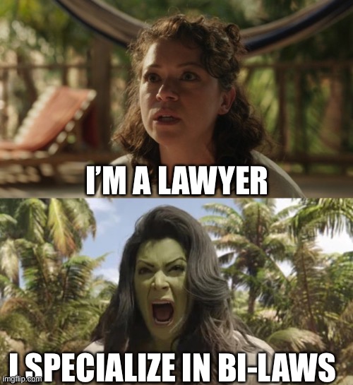 Get it….? | I’M A LAWYER; I SPECIALIZE IN BI-LAWS | image tagged in she-hulk,she hulk | made w/ Imgflip meme maker