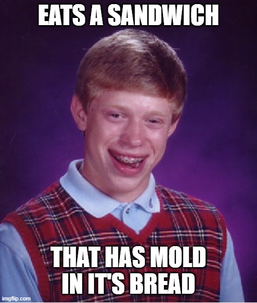 Bad Luck Picnics |  EATS A SANDWICH; THAT HAS MOLD IN IT'S BREAD | image tagged in memes,bad luck brian,picnic,sandwich | made w/ Imgflip meme maker