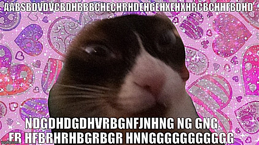 me when: | image tagged in me when | made w/ Imgflip meme maker